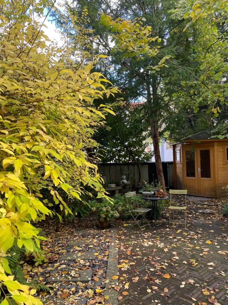 Herbst im Hotel Vosteen